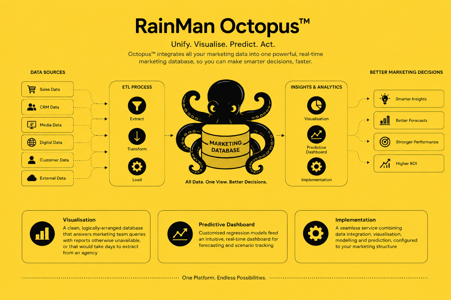 octopus